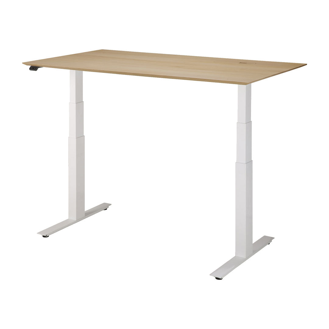 Bok Adjustable Desk