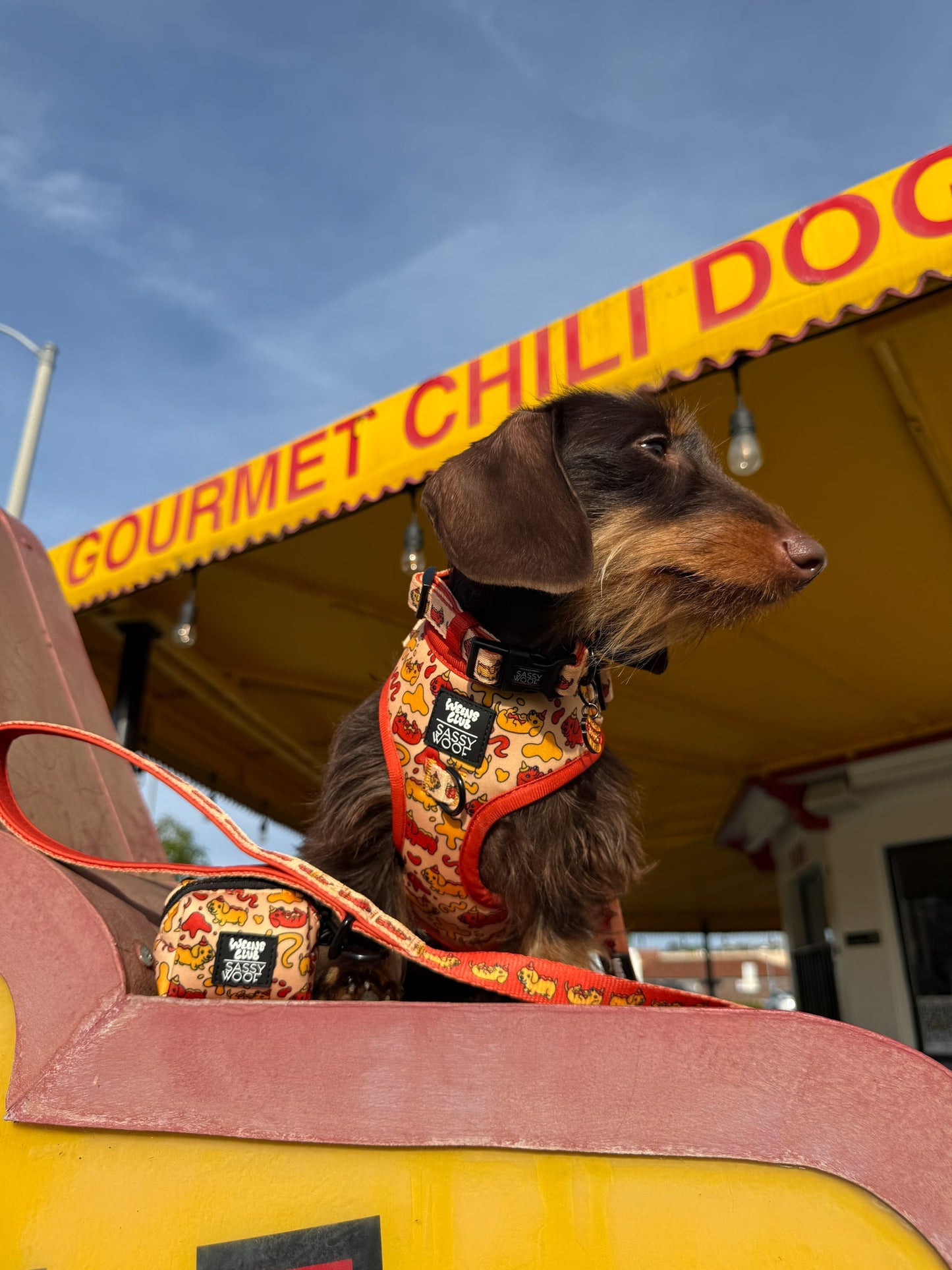 Dog Adjustable Harness - Hot Dawg