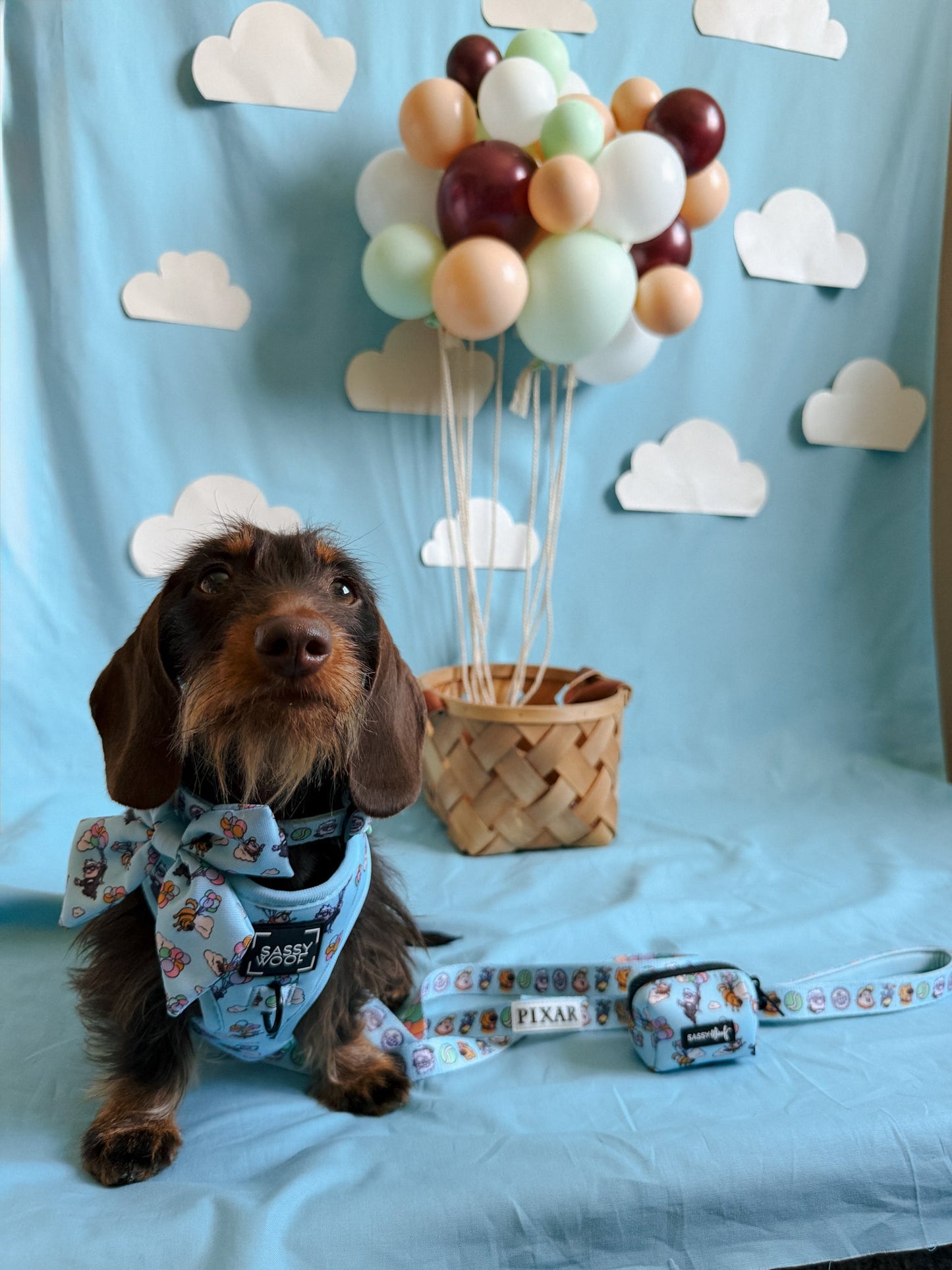 Dog Four Piece Bundle - Disney and Pixar's Up