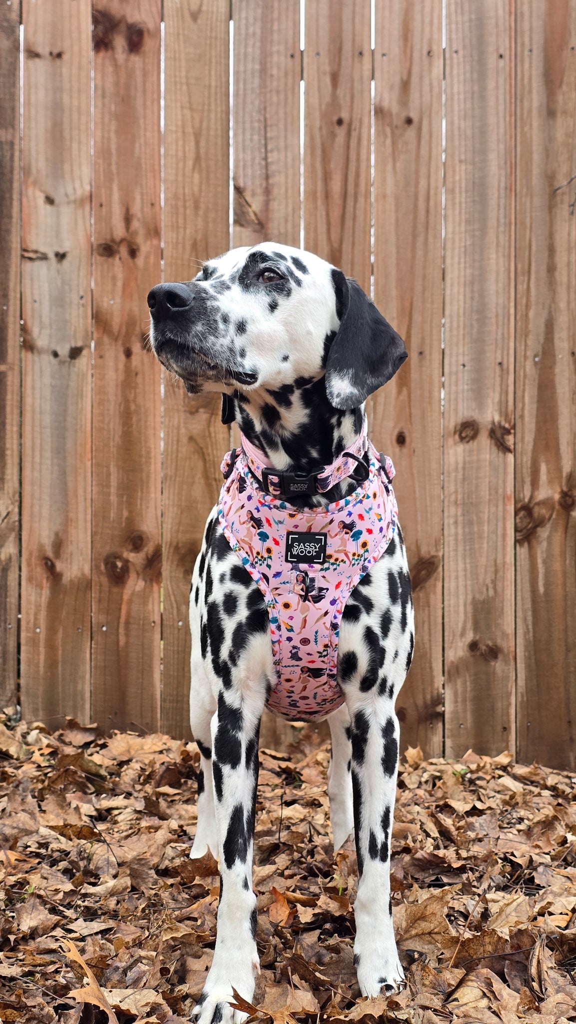 Dog Adjustable Harness - Disney's Pocahontas