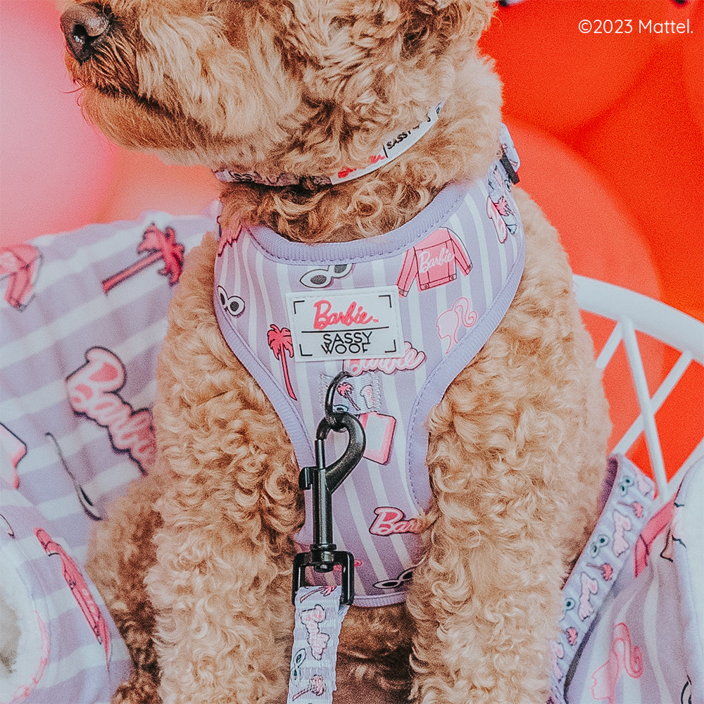 Pet Blanket - BARBIE™ Closet Goals