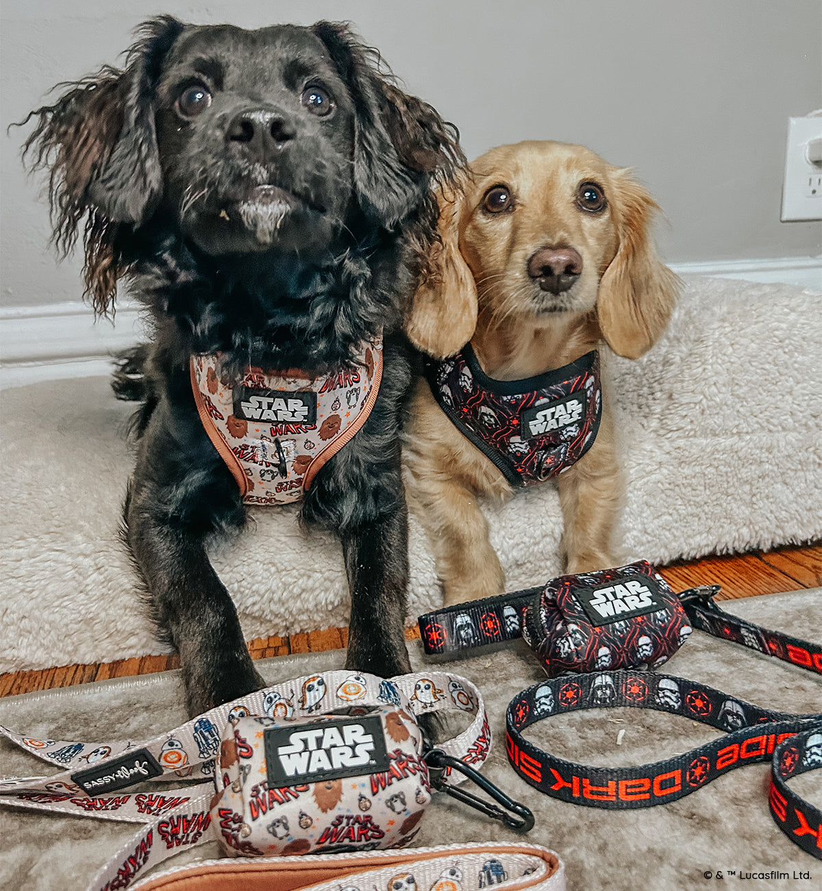Dog Two Piece Bundle - STAR WARS™ The Dark Side