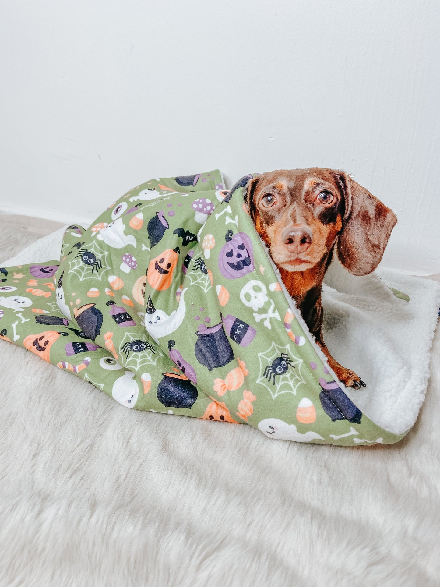 Pet Blanket - Haunt Mess