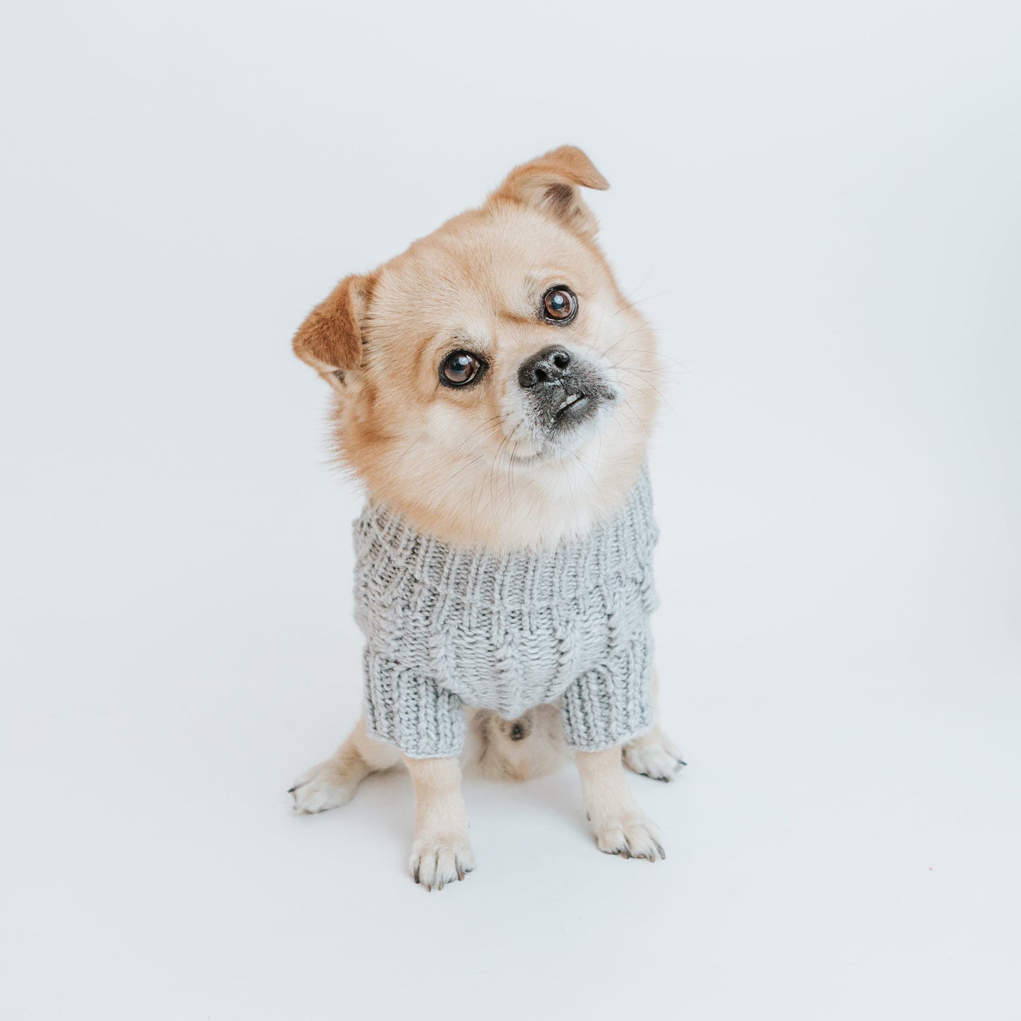 Pet Cable Knit Sweater - Gray