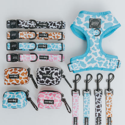 Dog Four Piece Bundle - Blueberry Milk