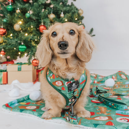 Dog Four Piece Bundle - Elf™