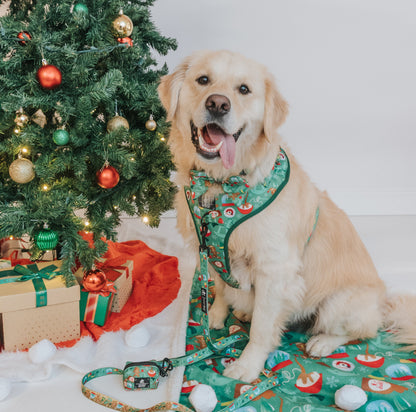 Dog Four Piece Bundle - Elf™