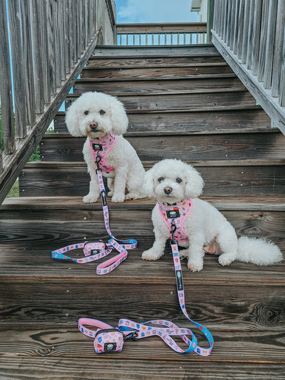 Dog Collar Three Piece Bundle - Gilmore Girls™