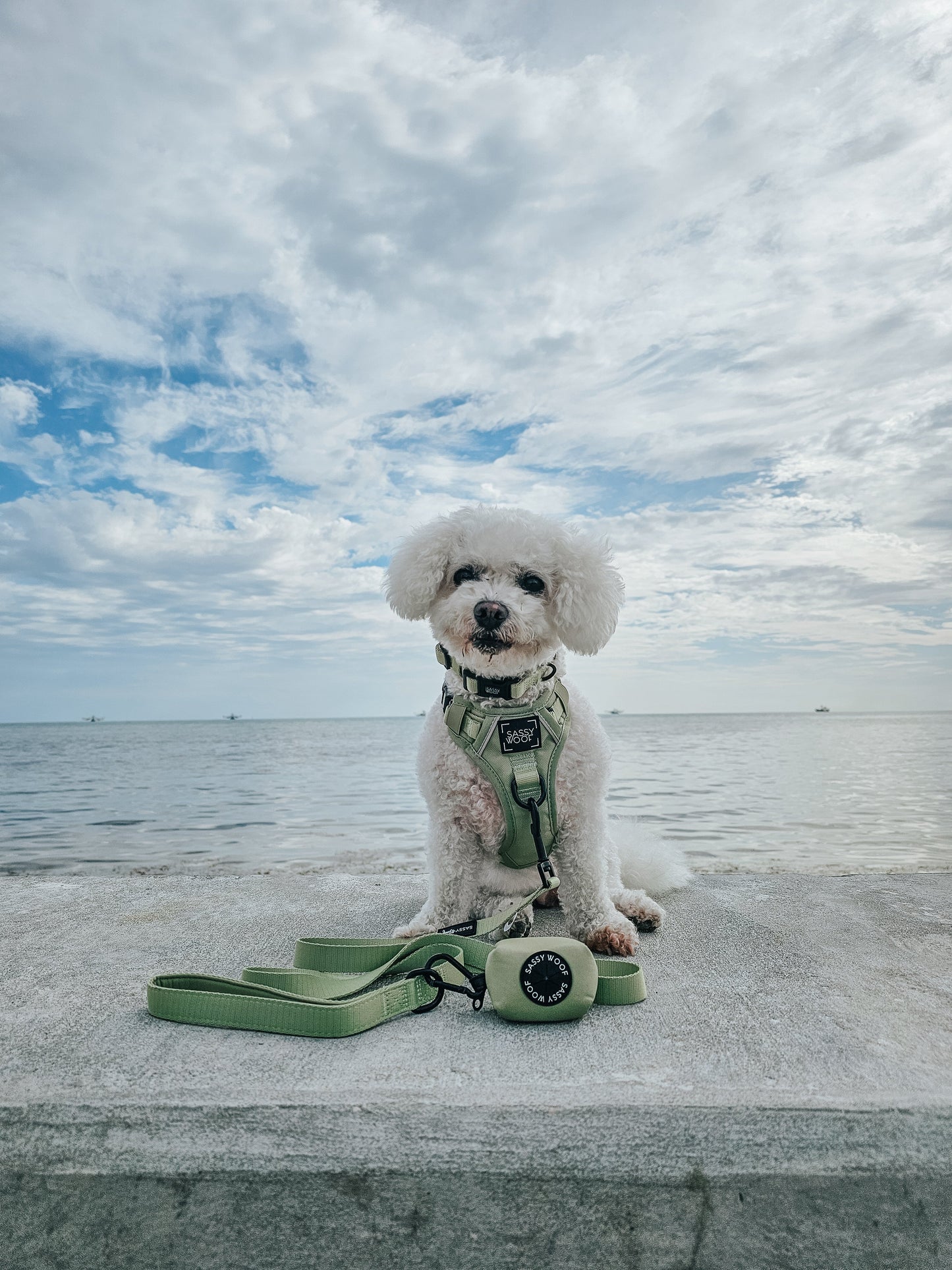 Dog Three Piece Bundle - Matcha