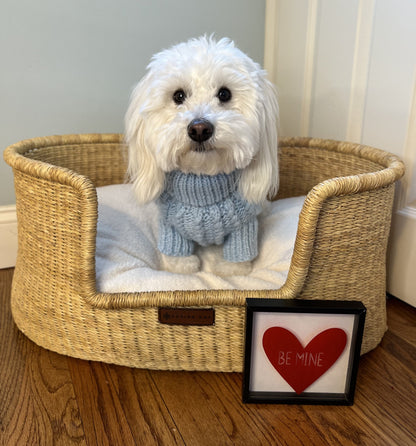 Pet Cable Knit Sweater - Light Blue