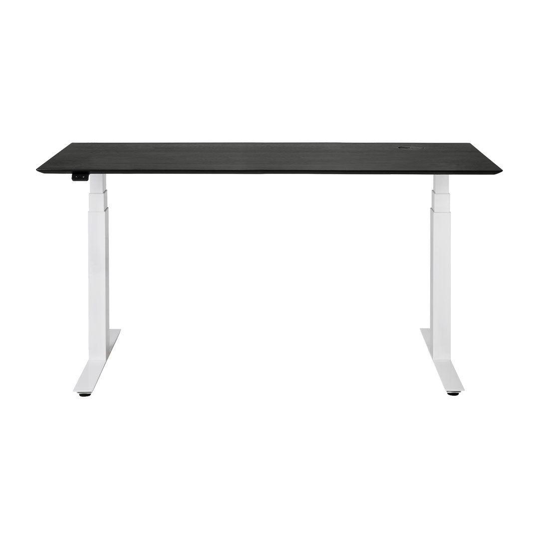 Bok Adjustable Desk