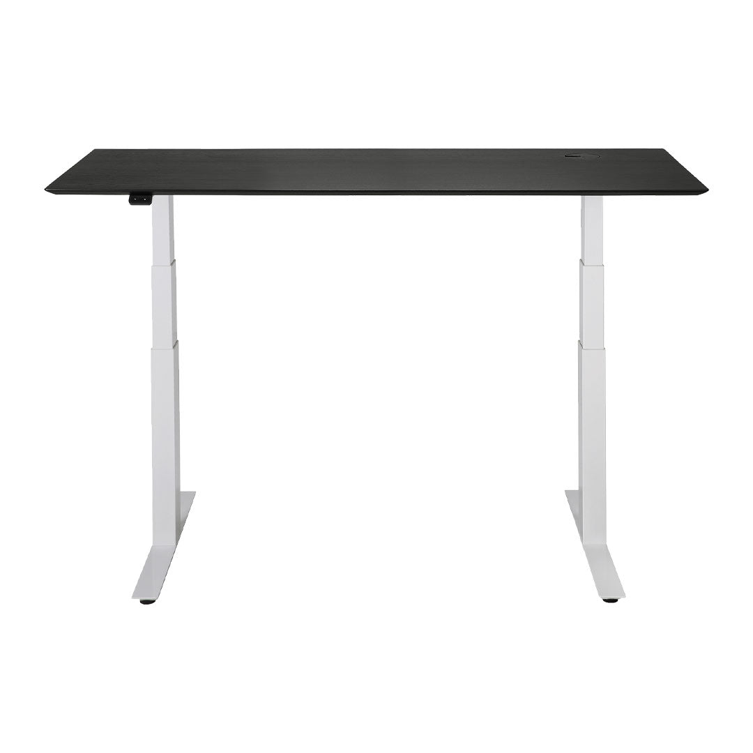 Bok Adjustable Desk