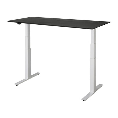 Bok Adjustable Desk