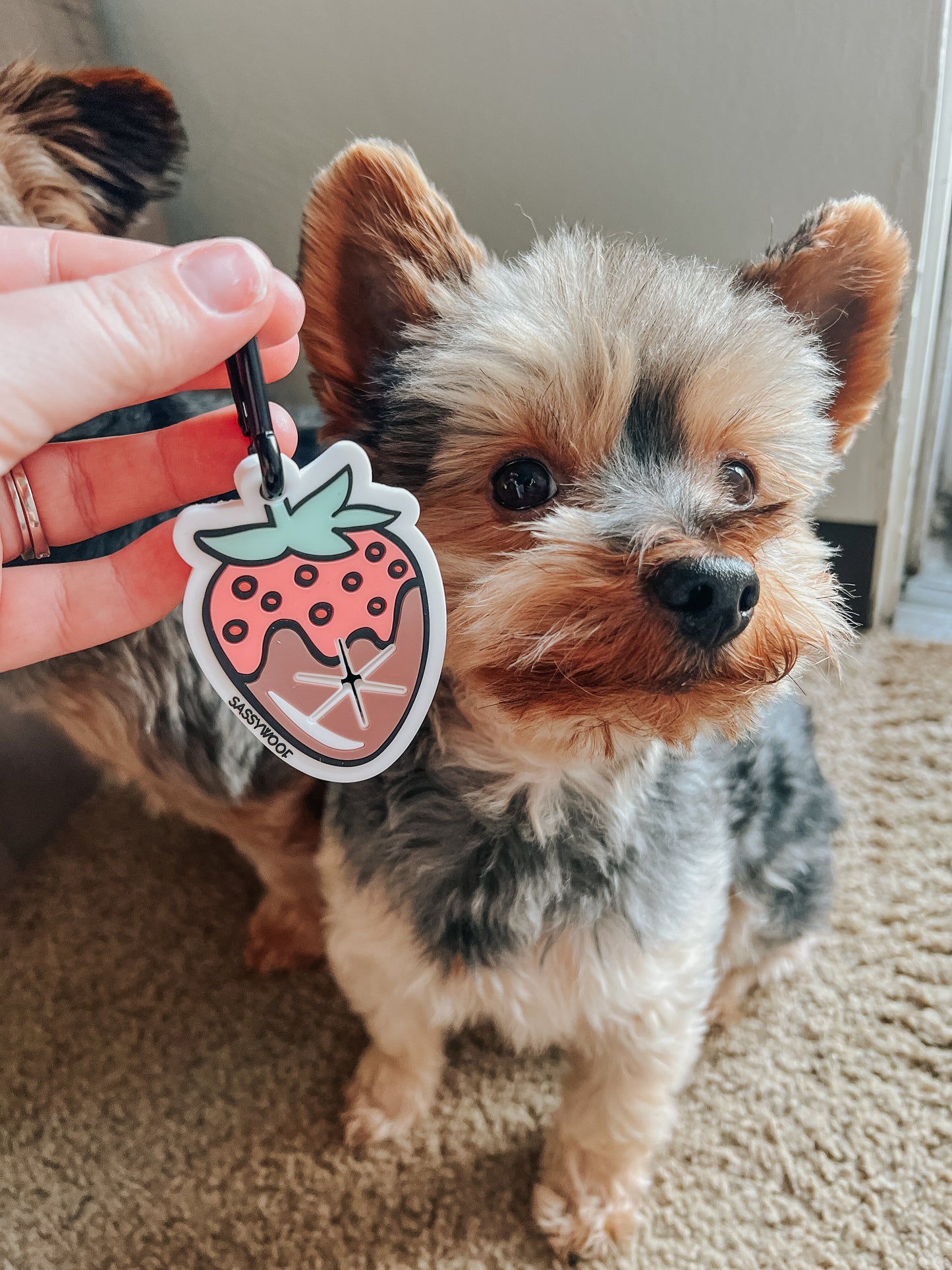 Potty Pal - Chocolate Strawberry