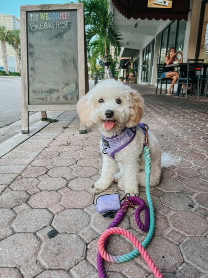 Dog Rope Leash - Madeline