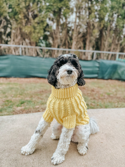 Pet Cable Knit Sweater - Yellow