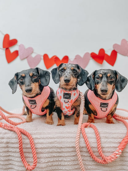 Dog Rope Leash - Dreamy