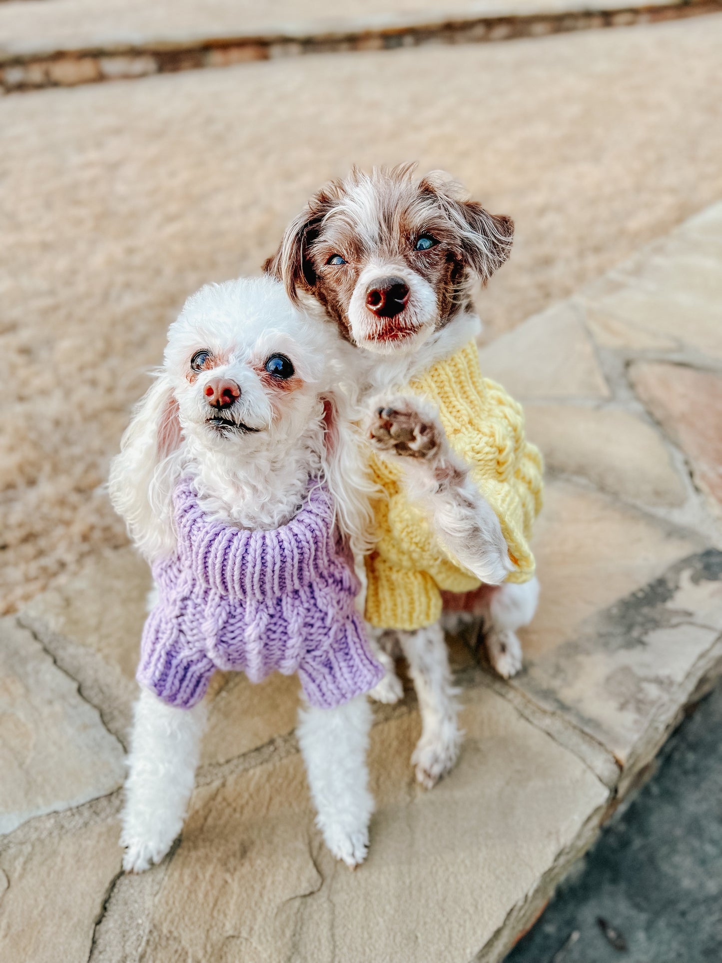 Pet Cable Knit Sweater - Lavender