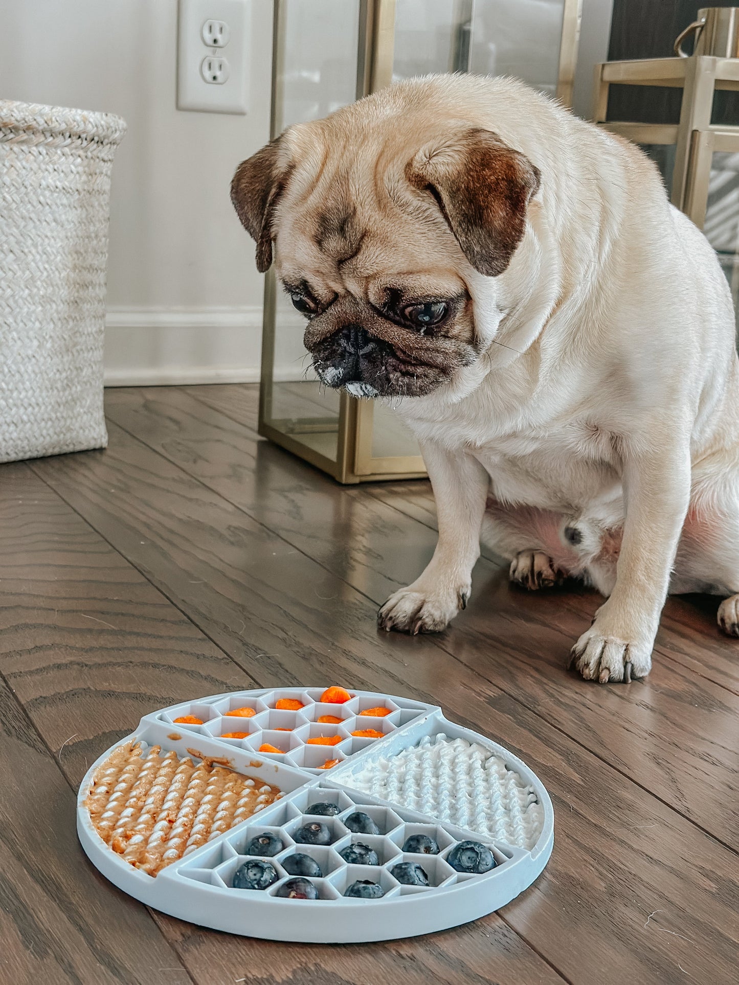 Dog Lick Mat