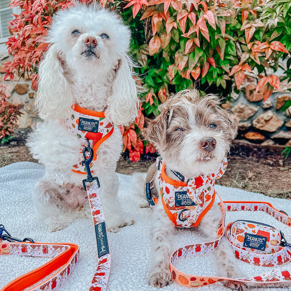 Dog Waste Bag Holder - Peanuts™ Harvest