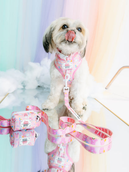 Dog Collar Three Piece Bundle - Care Bears™ Cheer Bear