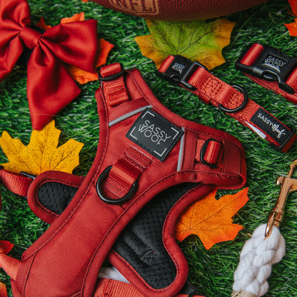 Dog Two Piece Bundle - Burgundy