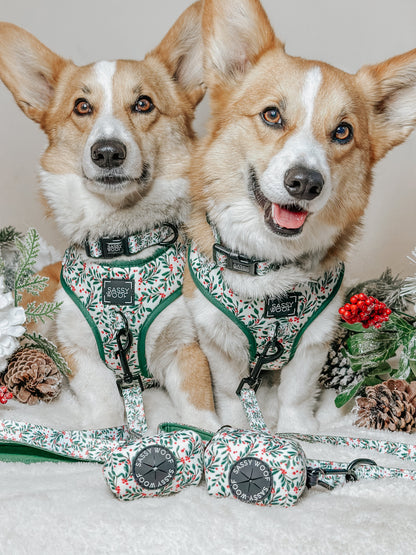 Dog Four Piece Bundle - Under the Mistletoe