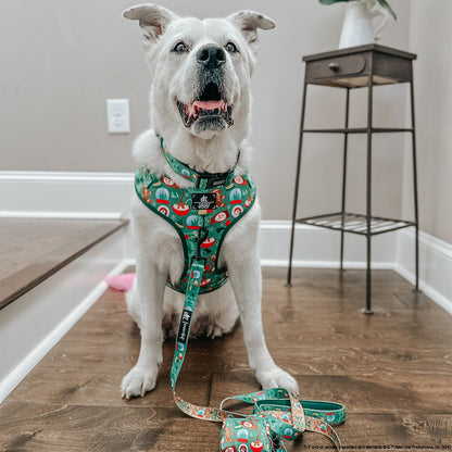 Dog Four Piece Bundle - Elf™