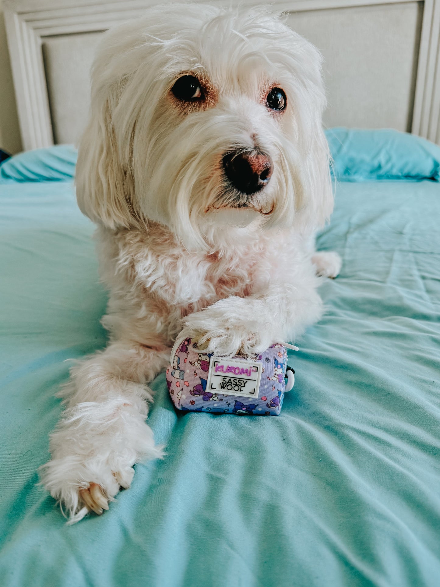 Dog Waste Bag Holder - Kuromi™