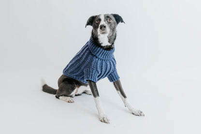 Pet Cable Knit Sweater - Navy