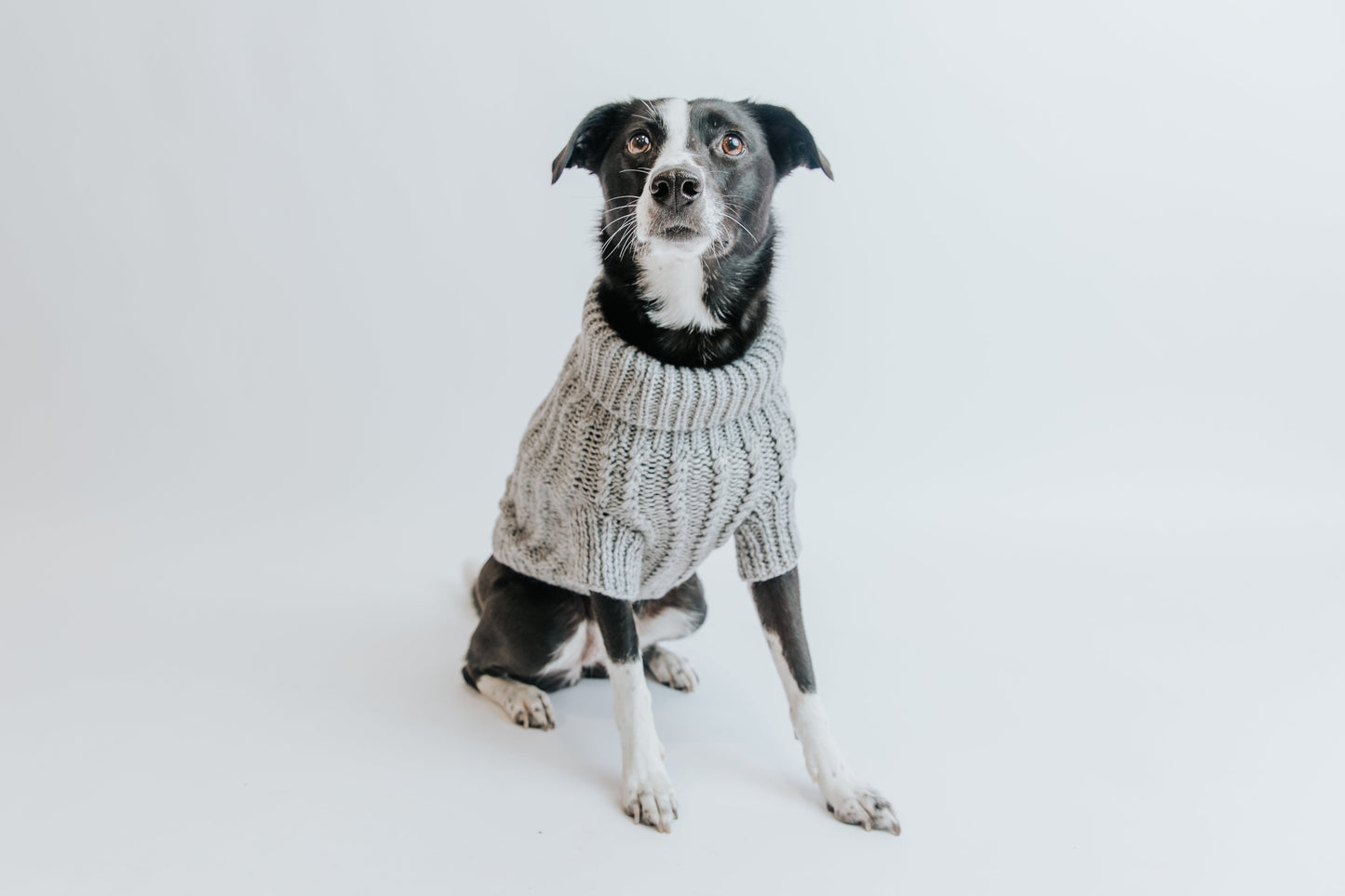 Pet Cable Knit Sweater - Gray
