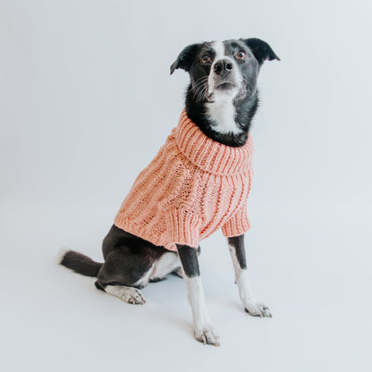 Pet Cable Knit Sweater - Pink