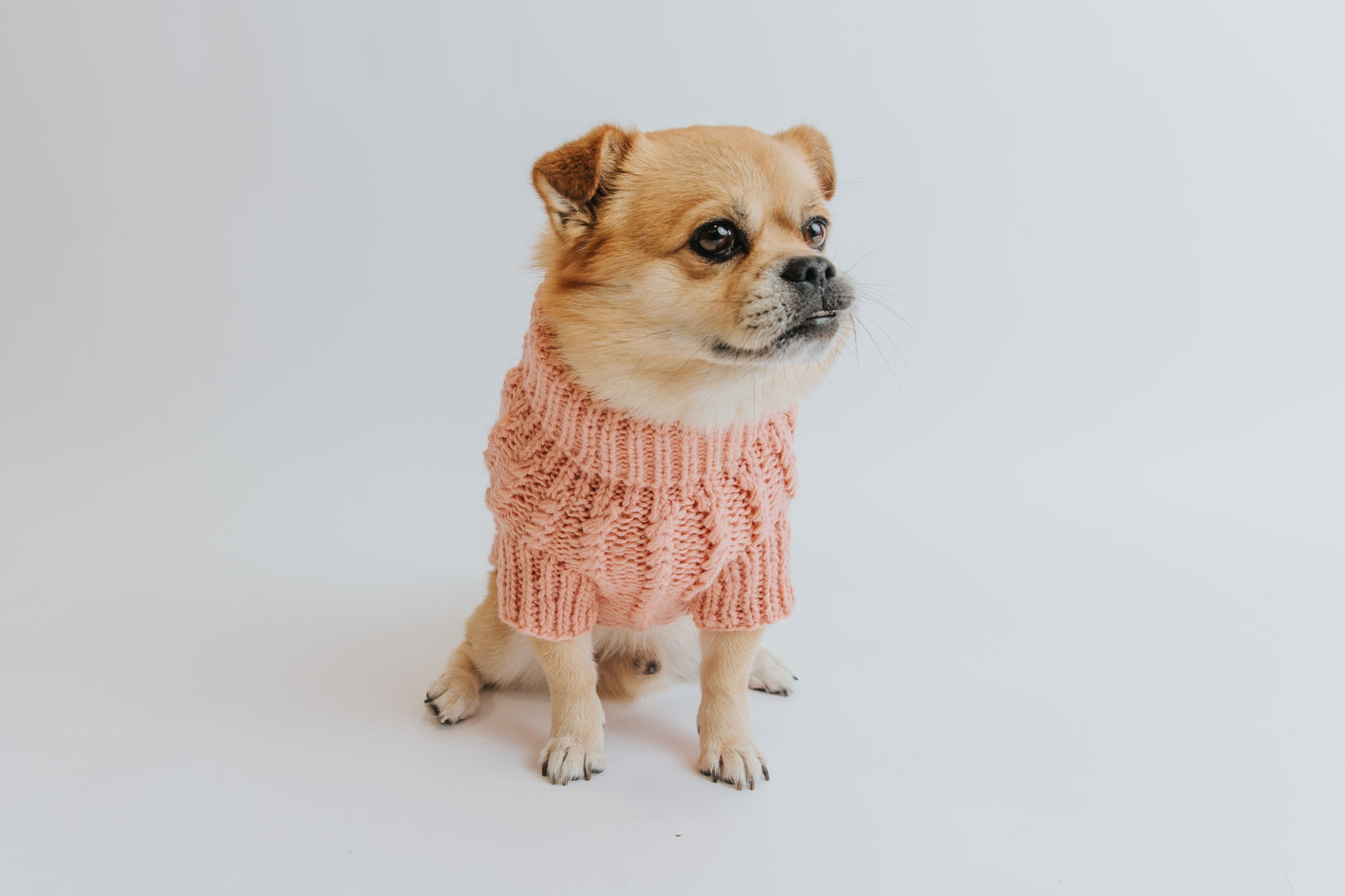 Pet Cable Knit Sweater - Pink