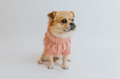 Pet Cable Knit Sweater - Pink