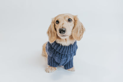 Pet Cable Knit Sweater - Navy