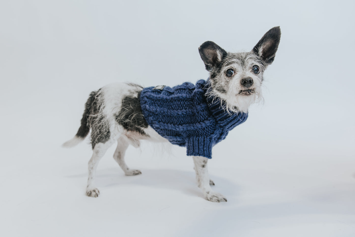 Pet Cable Knit Sweater - Navy