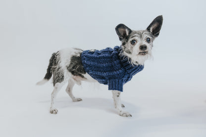 Pet Cable Knit Sweater - Navy