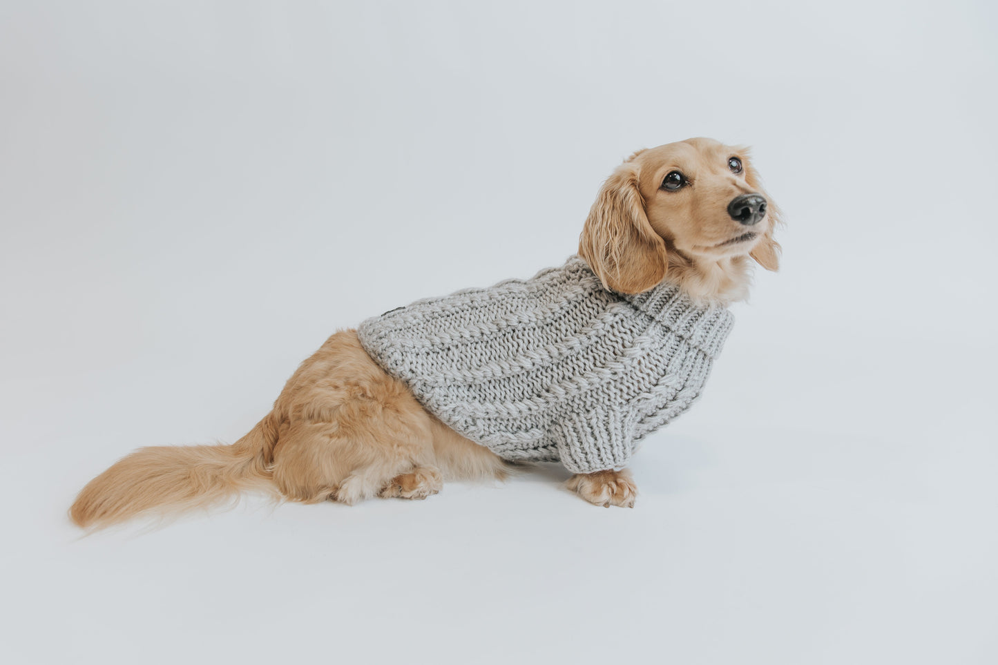 Pet Cable Knit Sweater - Gray