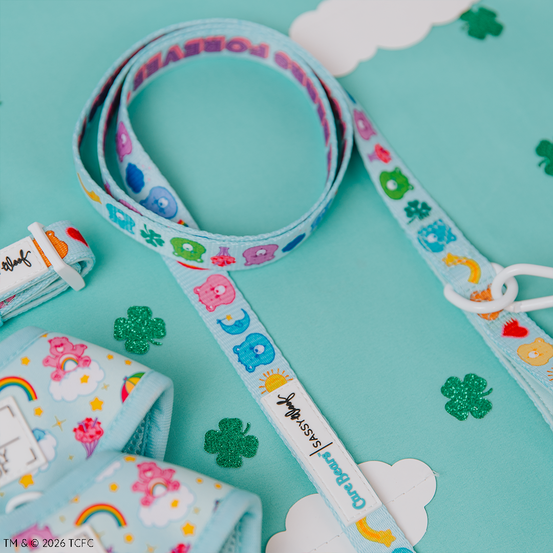 Dog Collar Three Piece Bundle - Care Bears™ Care-a-Lot
