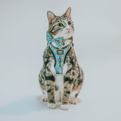 Collar Tag - Nickelodeon CatDog™