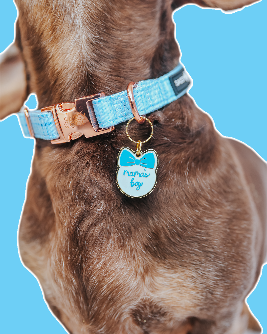 Collar Tag - Mama's Boy (Gold)