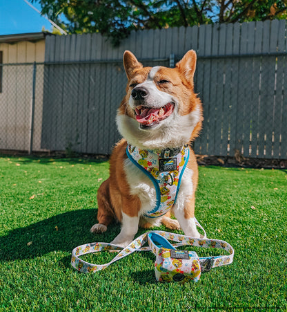 Dog Waste Bag Holder - SpongeBob SquarePants™ Bikini Bottom