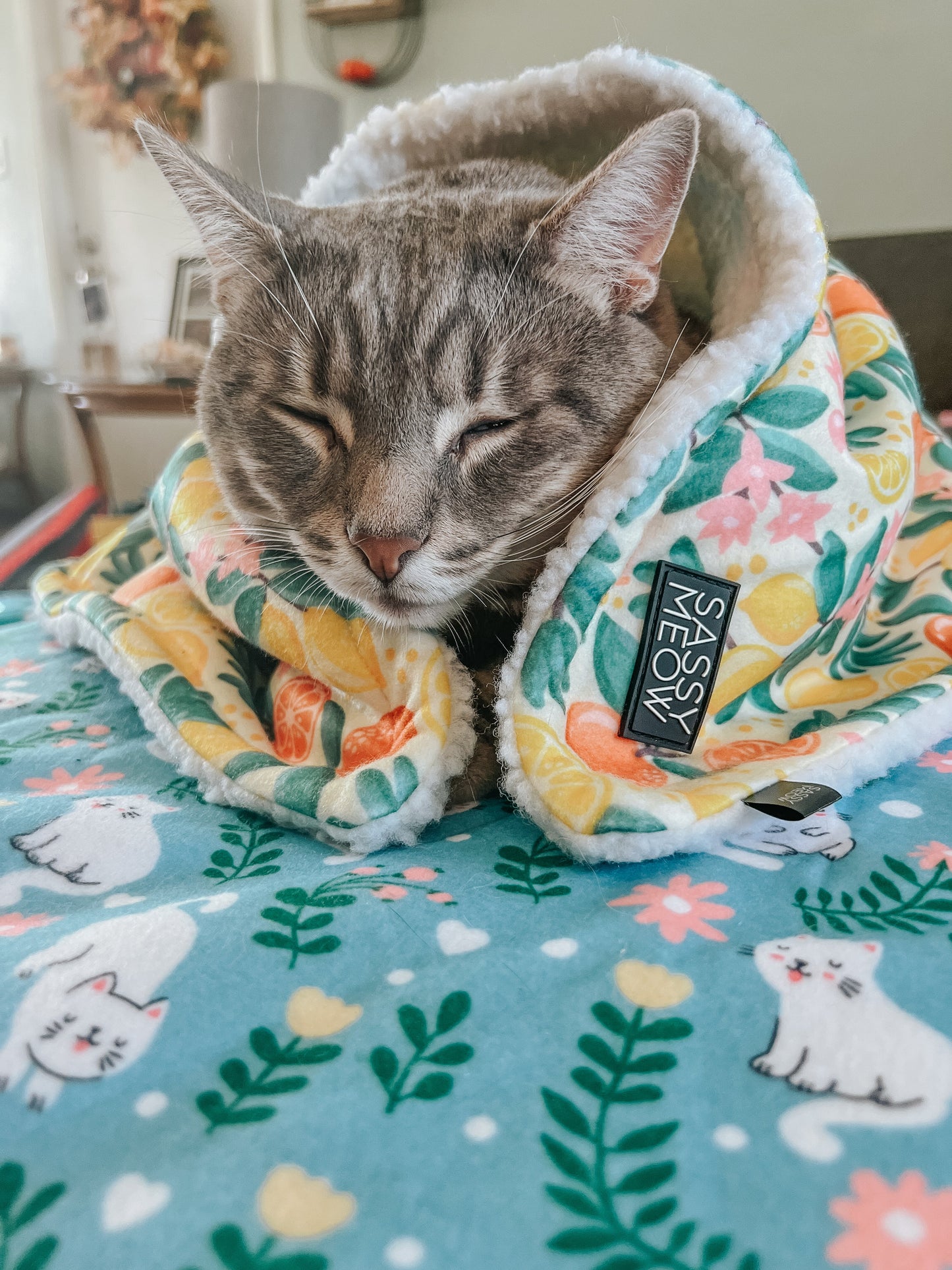 Pet Blanket - Zest Friends