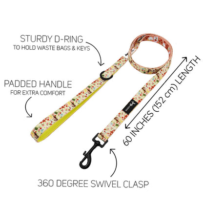 Harness Three Piece Bundle - Disney's Belle