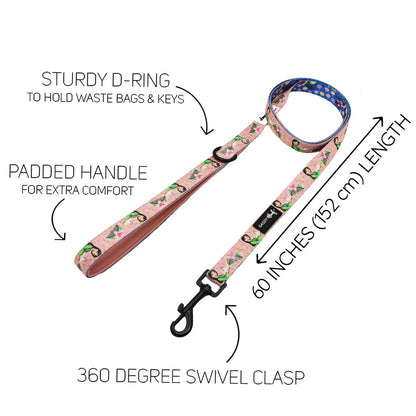 Harness Three Piece Bundle - Disney's Mulan
