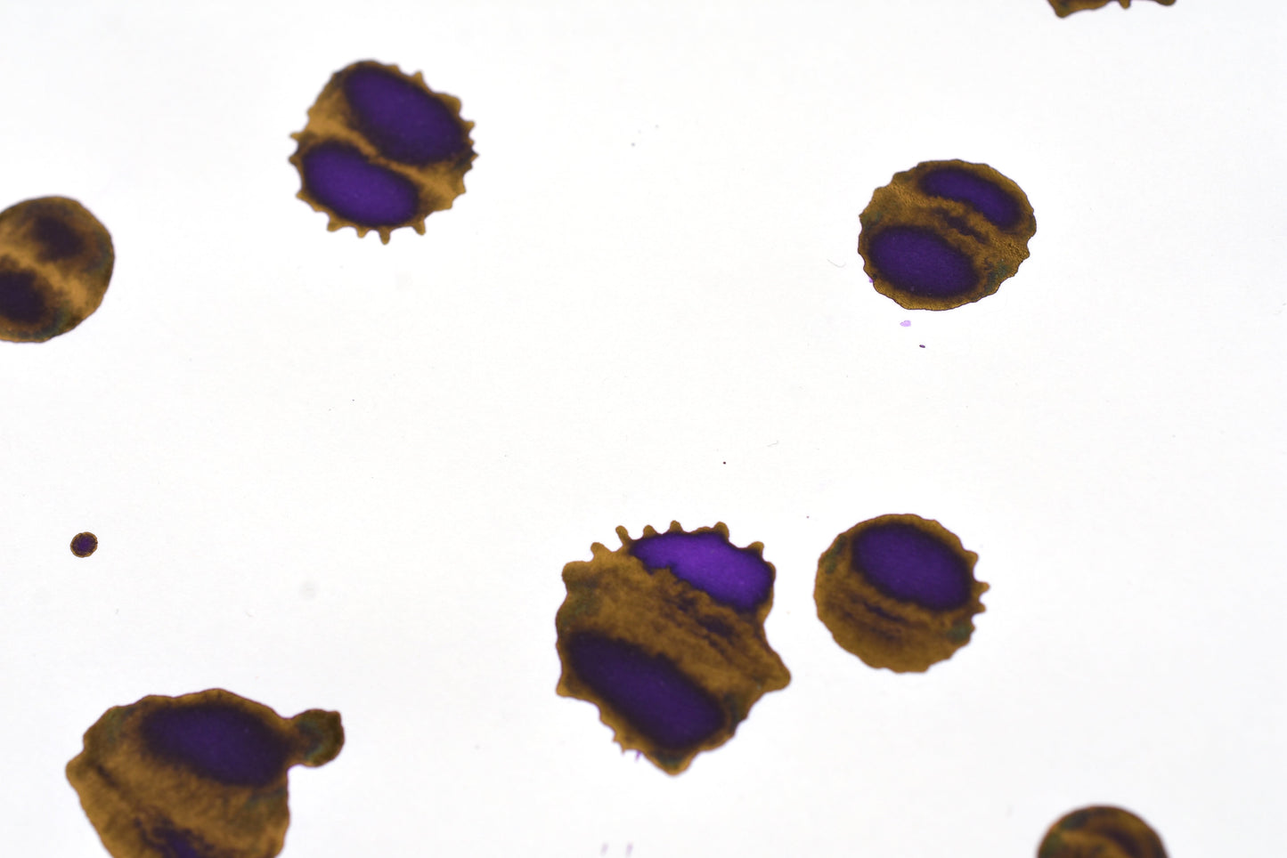 Diamine Fountain Pen Ink - Majestic Purple - 30mL