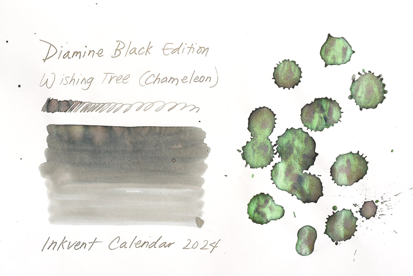 Diamine Black Edition - Chameleon - Wishing Tree