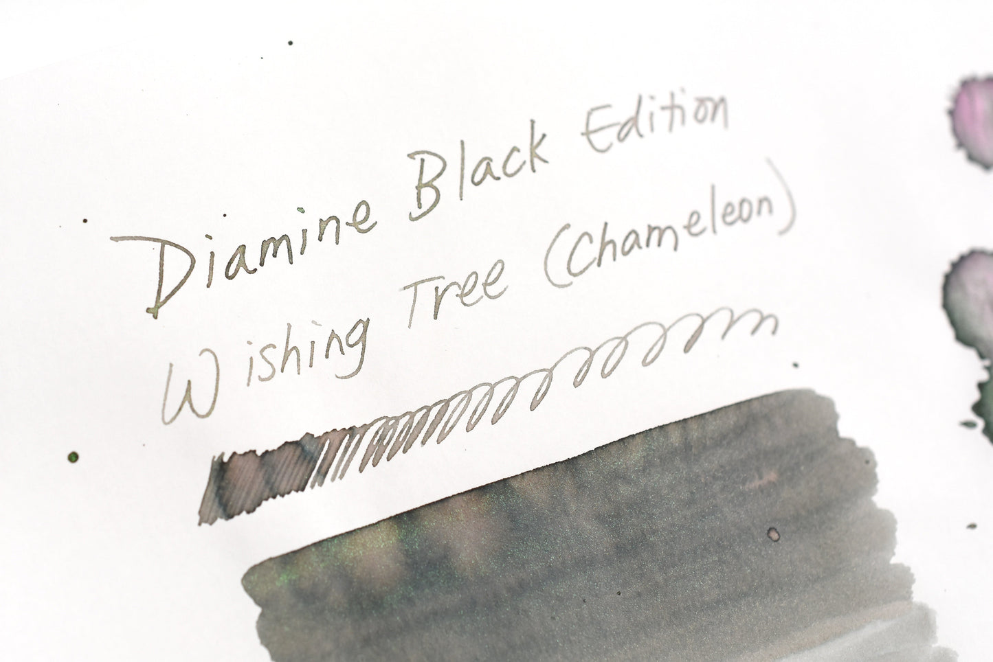 Diamine Black Edition - Chameleon - Wishing Tree
