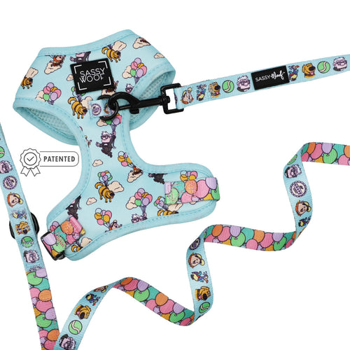 Dog Two Piece Bundle - Disney and Pixar's Up