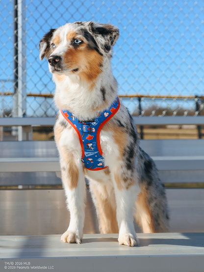 Harness Three Piece Bundle - MLB™ x Peanuts™ Toronto Blue Jays™